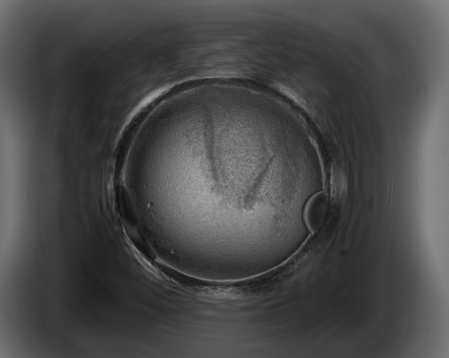 X0000085741452200703231100