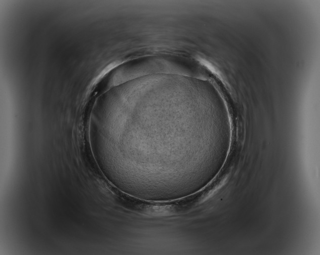 X0000085741453200703231100