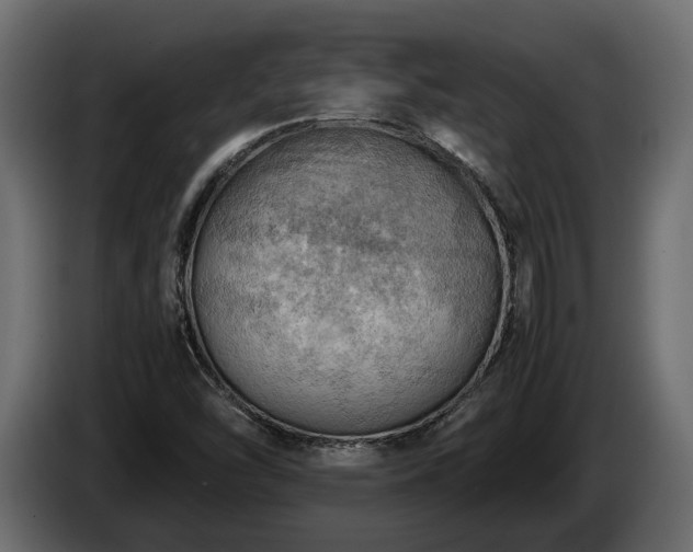 X0000085741454200703231059