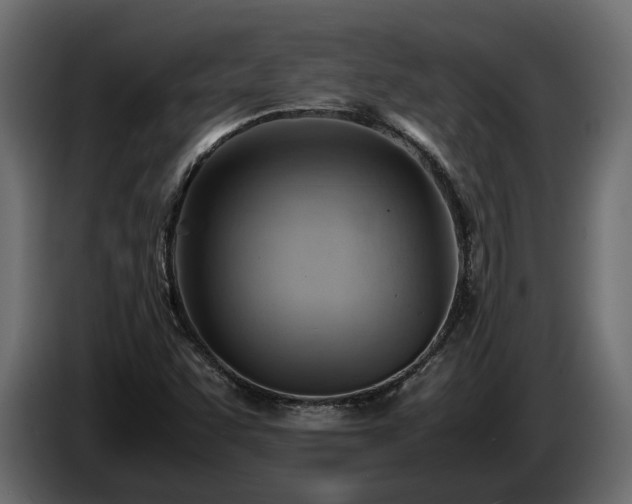 X0000085741455200703231059