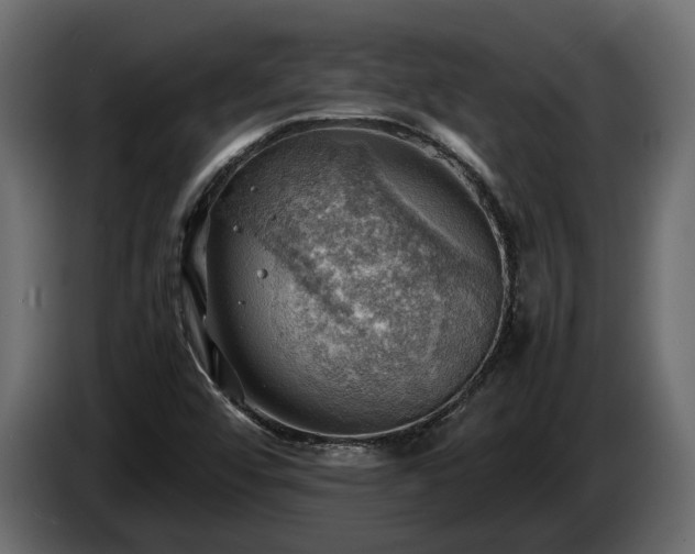 X0000085741456200703231059