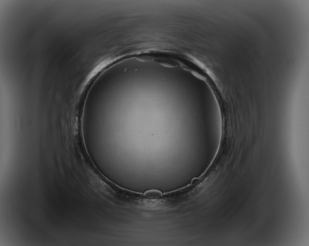 X0000085741459200703231059