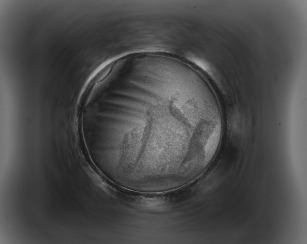 X0000085741460200703231059