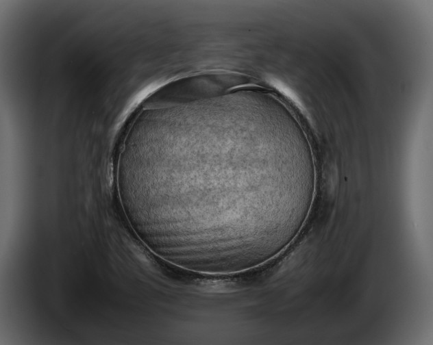 X0000085741461200703231059