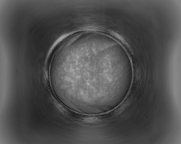 X0000085741462200703231059