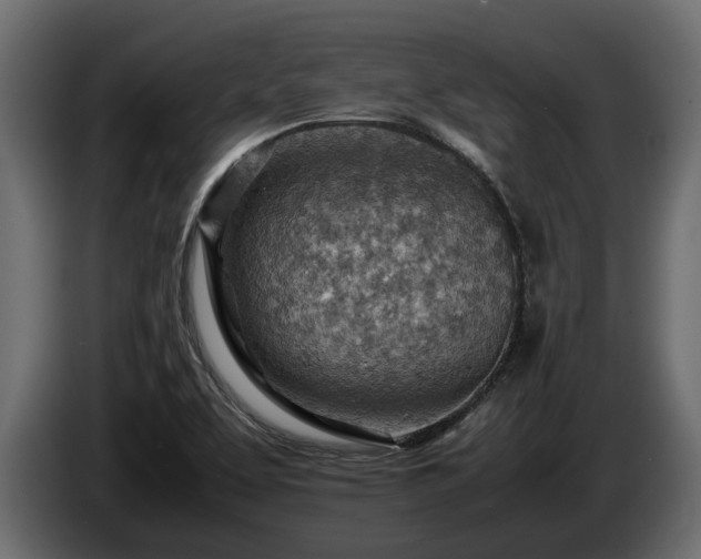 X0000085741463200703231059