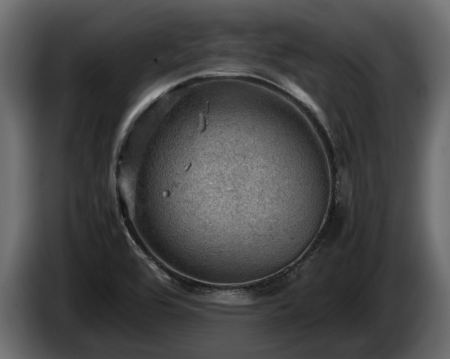 X0000085741464200703231059
