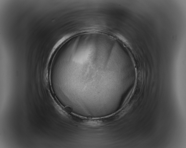 X0000085741466200703231059