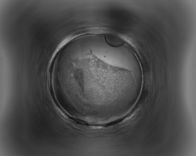 X0000085741467200703231059