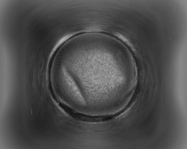 X0000085741469200703231059