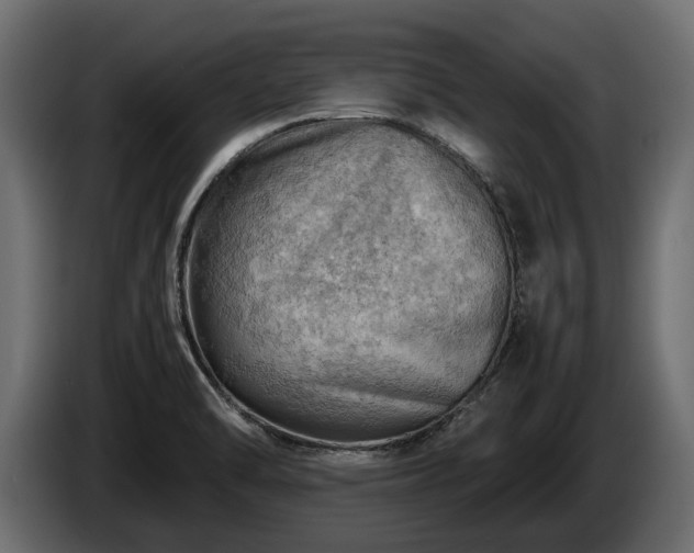 X0000085741470200703231059