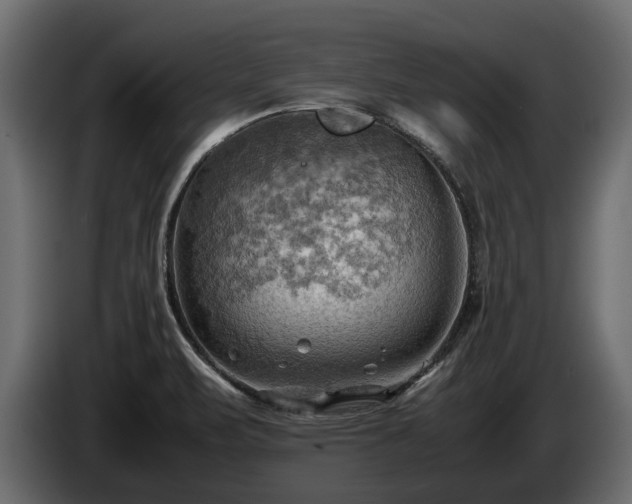 X0000085741471200703231059