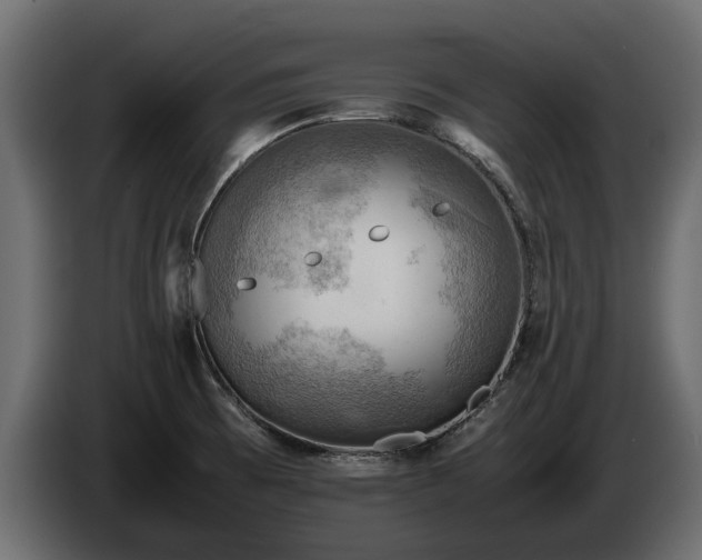 X0000085741473200703231059