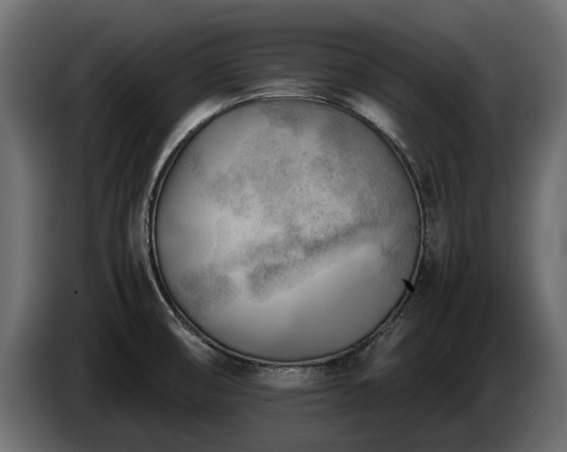 X0000085741474200703231059