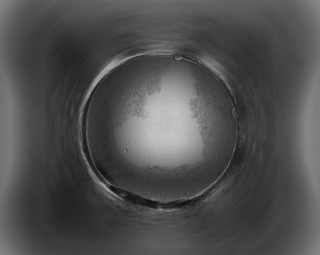 X0000085741475200703231059