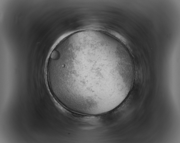 X0000085741478200703231059