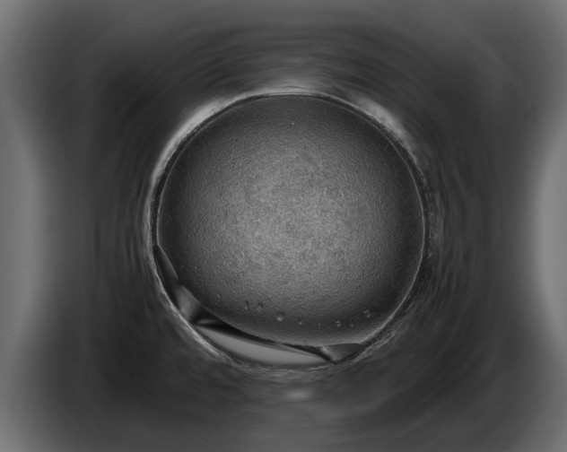 X0000085741480200703231059