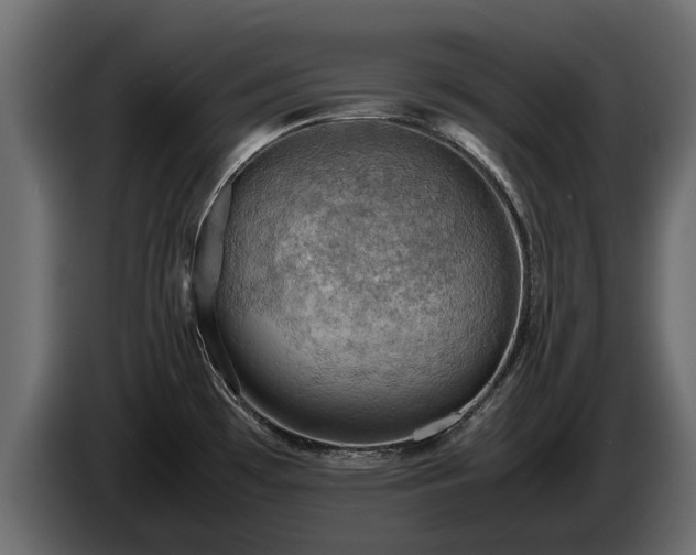 X0000085741481200703231059