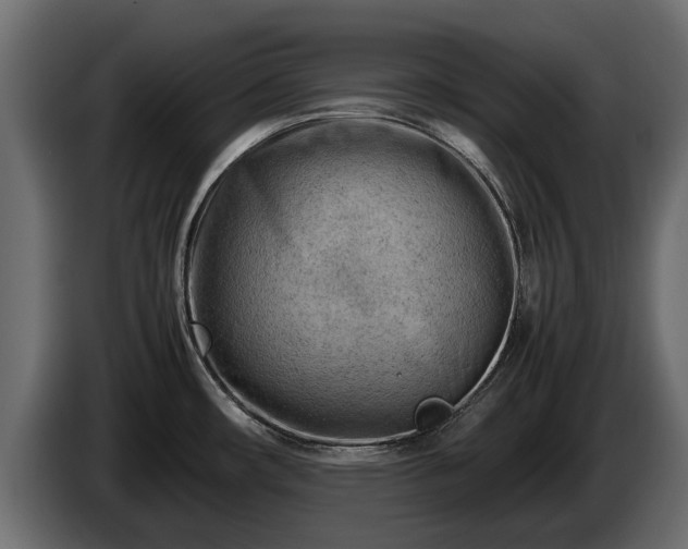 X0000085741482200703231059