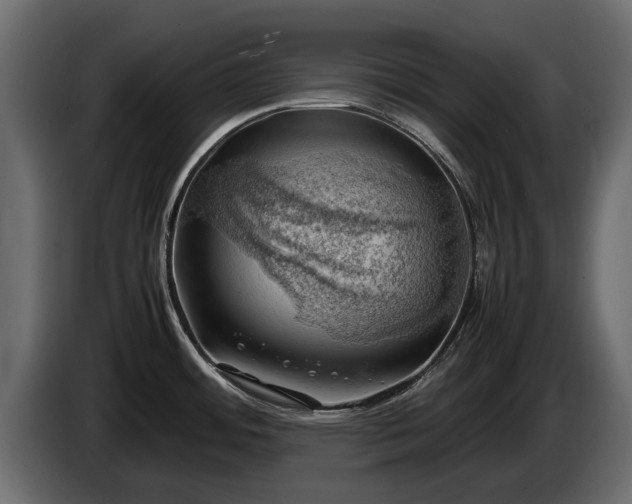 X0000085741484200703231059