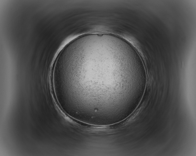 X0000085741486200703231059