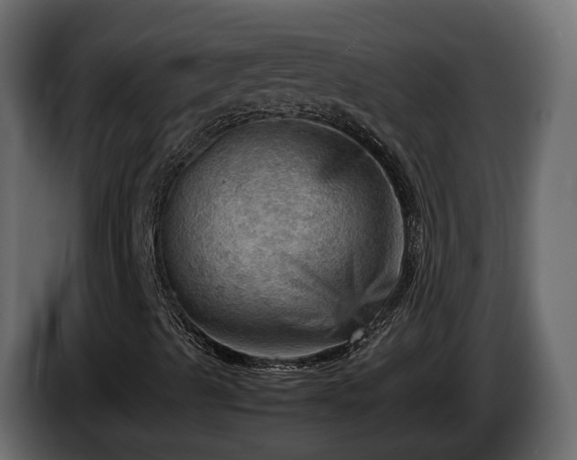X0000085741489200703231058