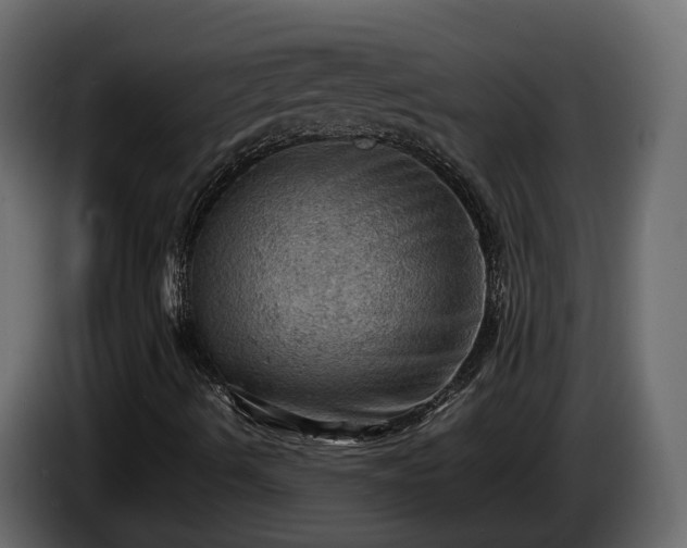 X0000085741490200703231058