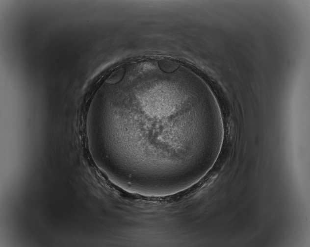 X0000085741494200703231058