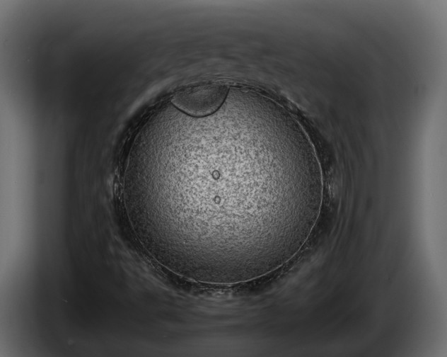 X0000085741495200703231058