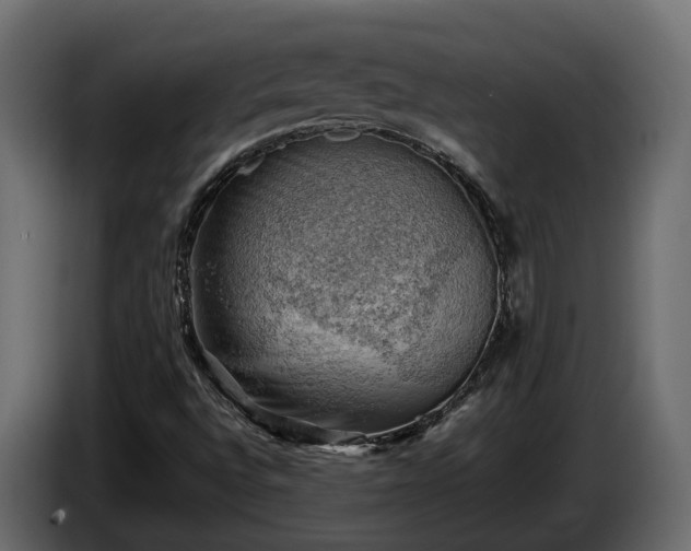 X0000085741496200703231058