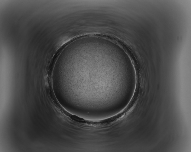 X0000085741497200703231058