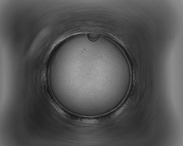 X0000085741498200703231058
