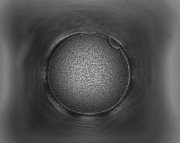 X0000085741499200703231058