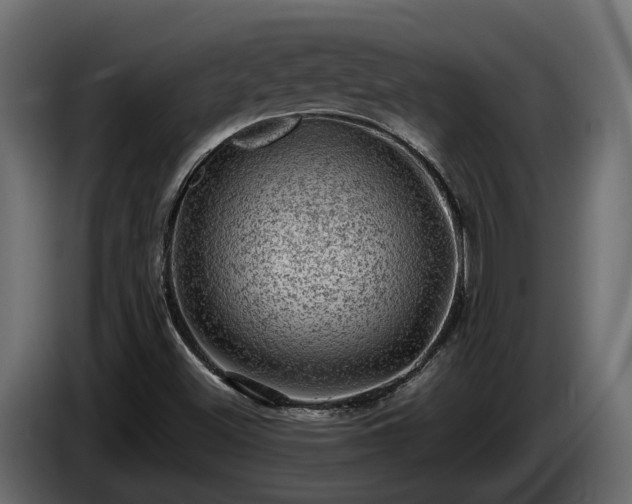 X0000085741500200703231058