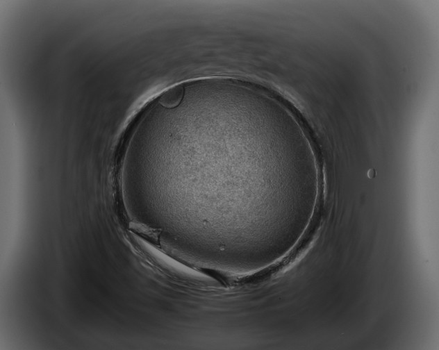 X0000085741501200703231058