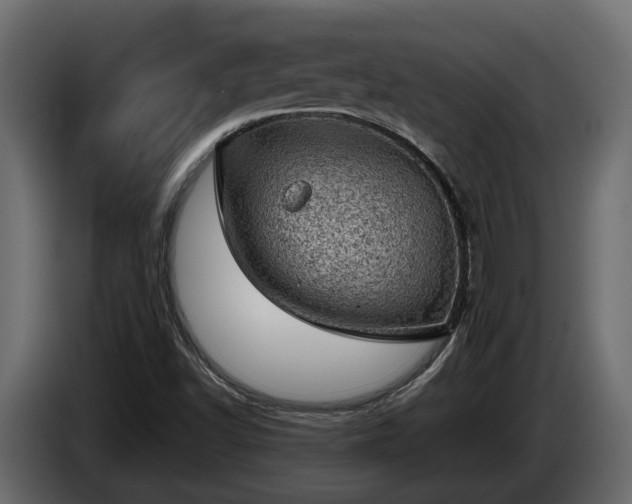 X0000085741502200703231058