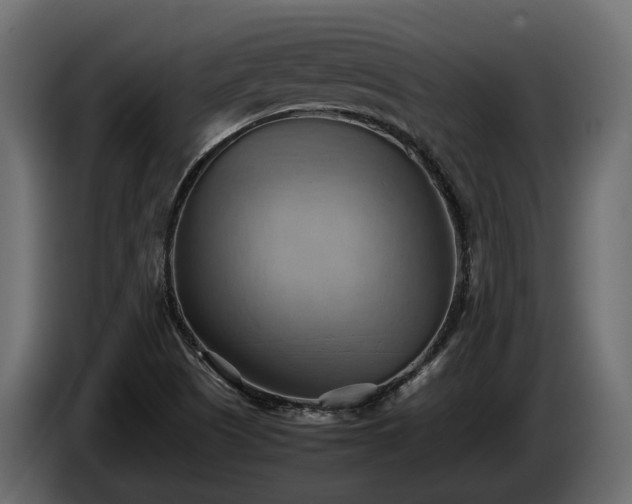 X0000085741505200703231058