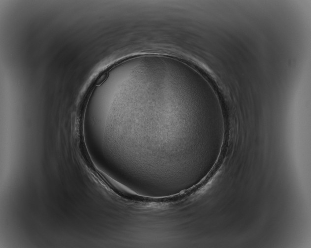 X0000085741506200703231058