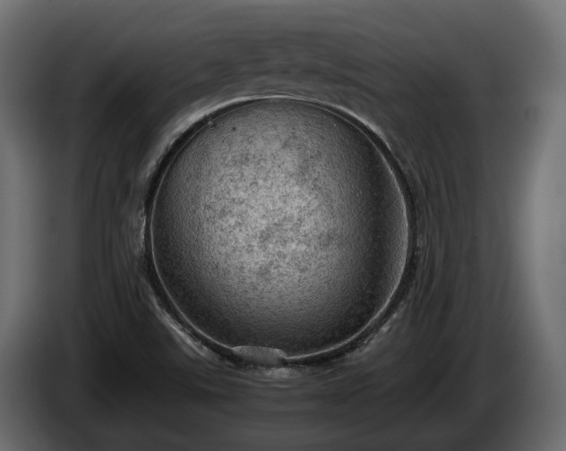 X0000085741507200703231058