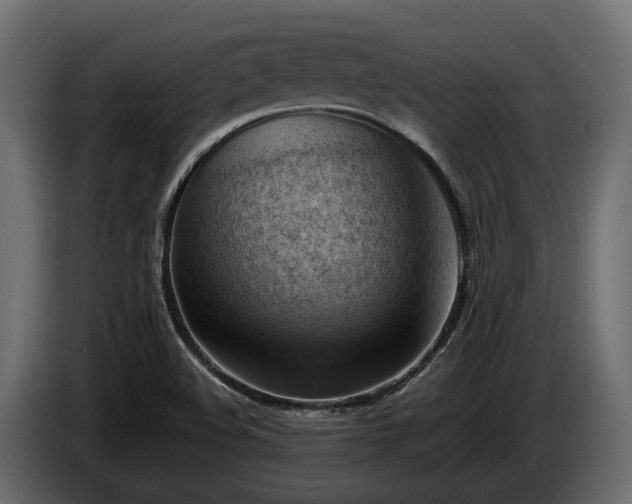 X0000085741508200703231058