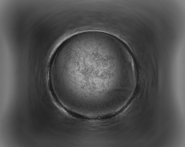 X0000085741511200703231058