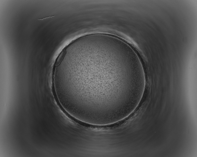 X0000085741512200703231058