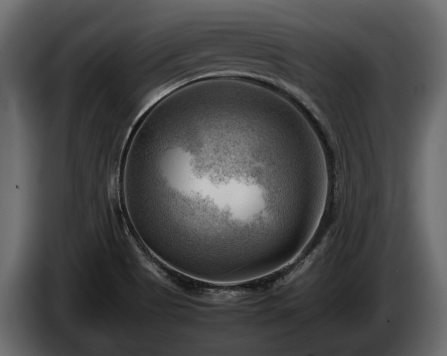 X0000085741513200703231058