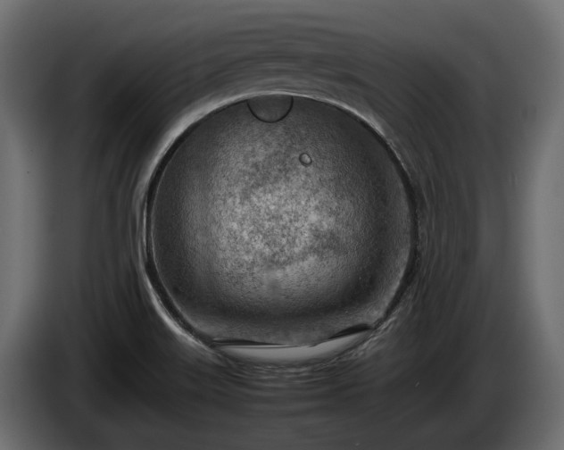 X0000085741515200703231059