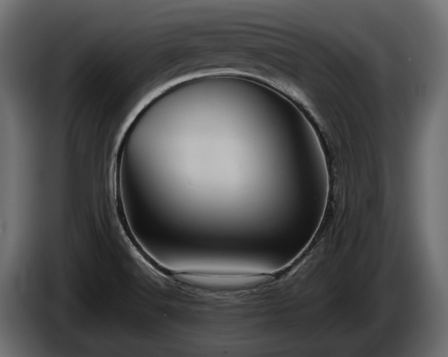 X0000085741516200703231059
