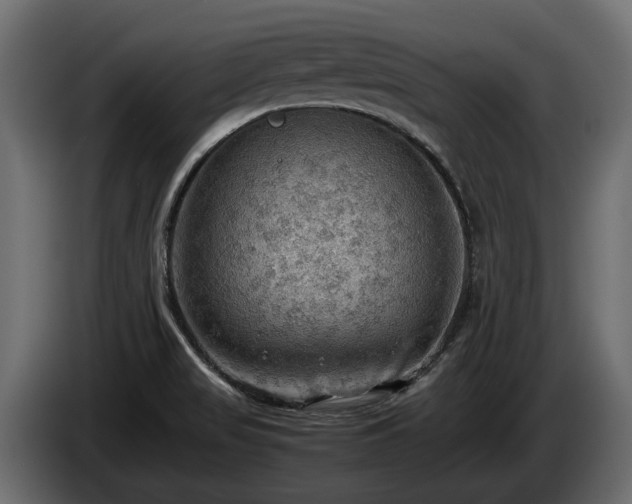 X0000085741517200703231059