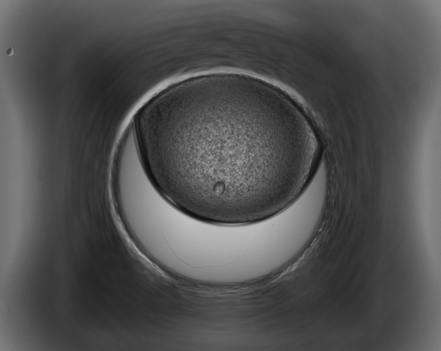 X0000085741518200703231059
