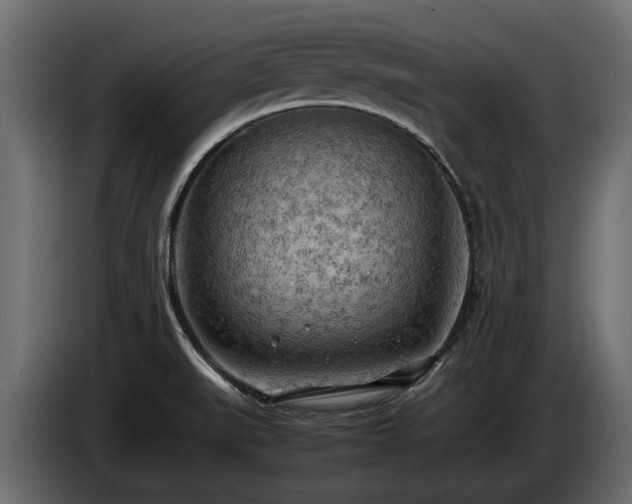 X0000085741519200703231059