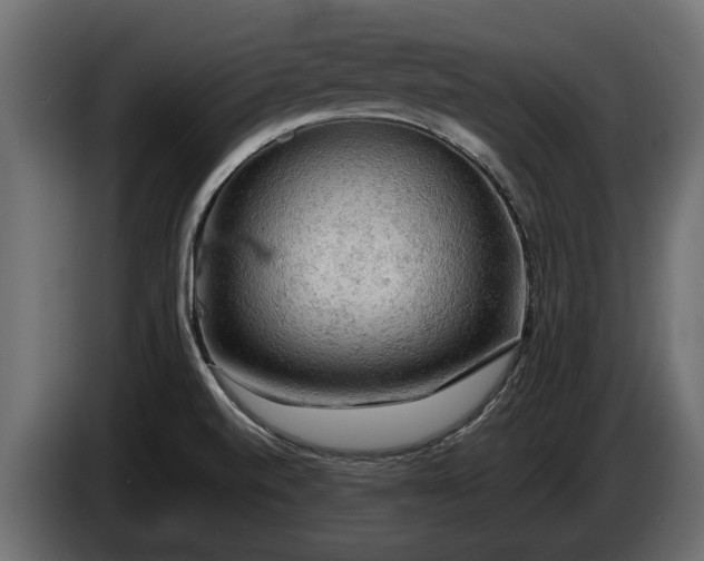 X0000085741520200703231059