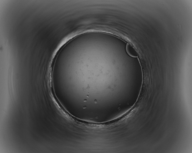 X0000085741522200703231059